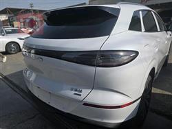 بي واي دي سيليون 06 DM-i